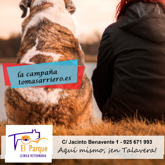 Clinica Veterinaria El Parque por Tomás Arriero